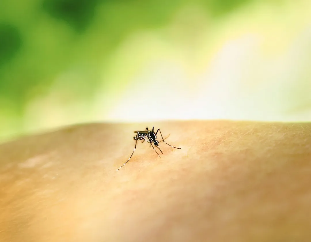 7. Insect Repellent (Image Credits: Unsplash)