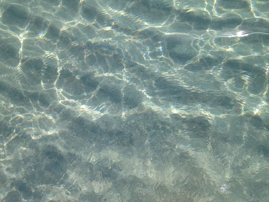 When to Go for the Best Water Clarity (Image Credits: Pexels)