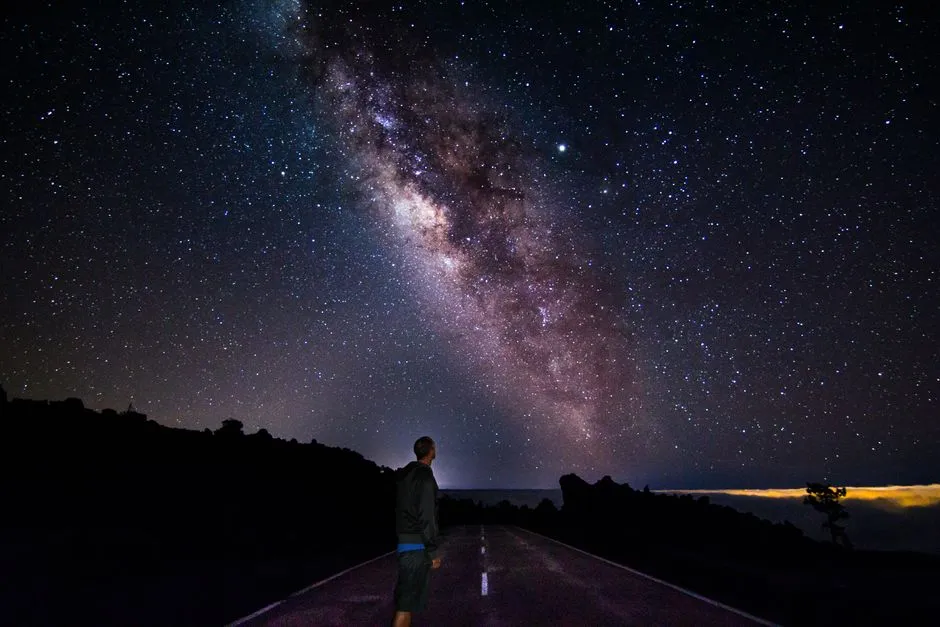 The Takeaway (Image Credits: Pexels)