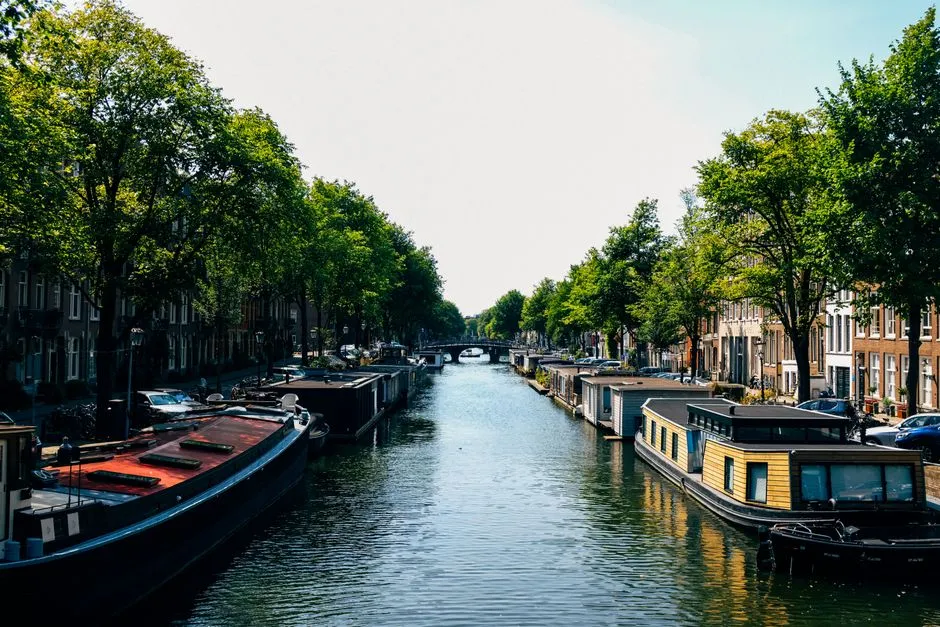 What All Four Trips Have in Common (Image Credits: Pexels)