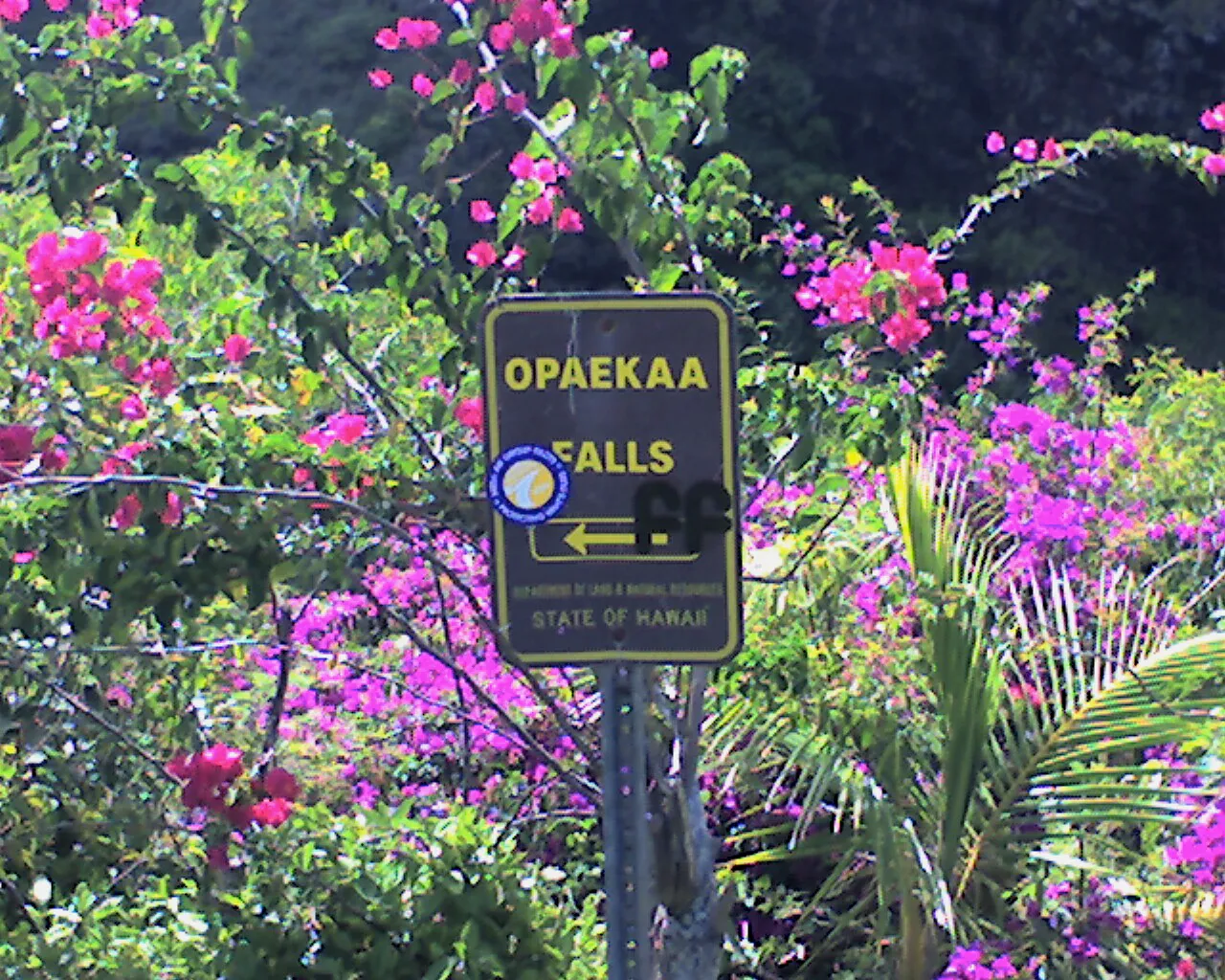 2. ʻŌpaekaʻa Falls: Ancient Basalt and a View You Don't Have to Earn (By Tori Sloane, CC BY-SA 3.0)