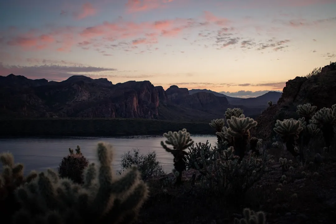 Beyond the Stars: A Desert Worth Exploring by Day (Image Credits: Unsplash)