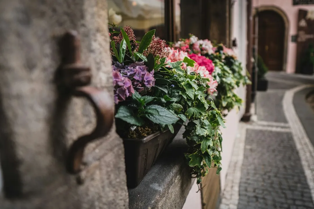 How Prague's Street Level Hides So Much (Image Credits: Unsplash)