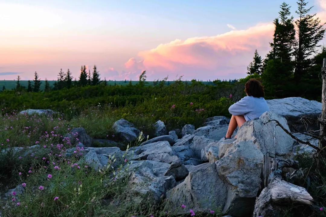 The Science Behind the Pull of Solitude in Nature (Image Credits: Unsplash)