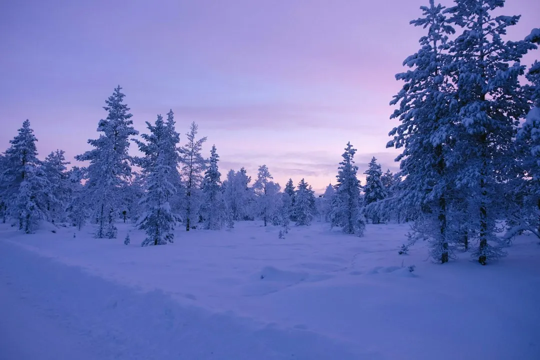 Finland: The Still, Atmospheric North (Image Credits: Unsplash)