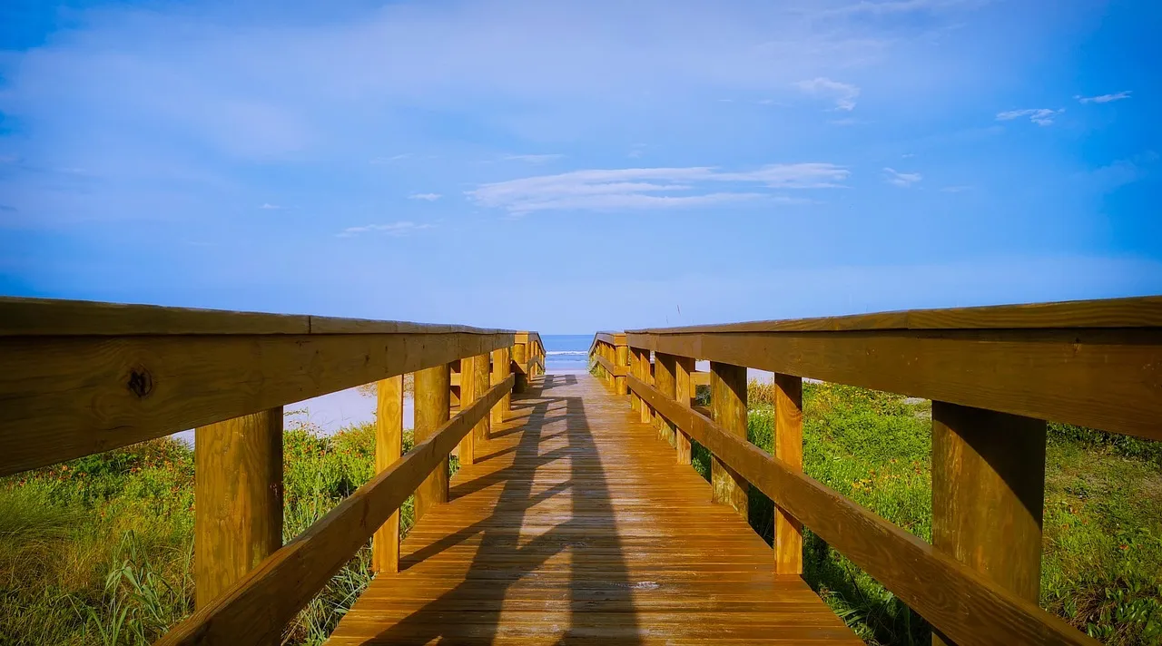 Sensory and Interpretive Features Along Accessible Trails (Image Credits: Pixabay)