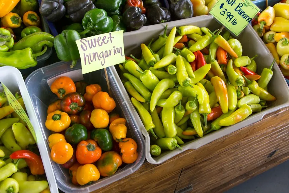 The Bigger Picture: Why These Markets Matter Beyond Breakfast (Image Credits: Pexels)