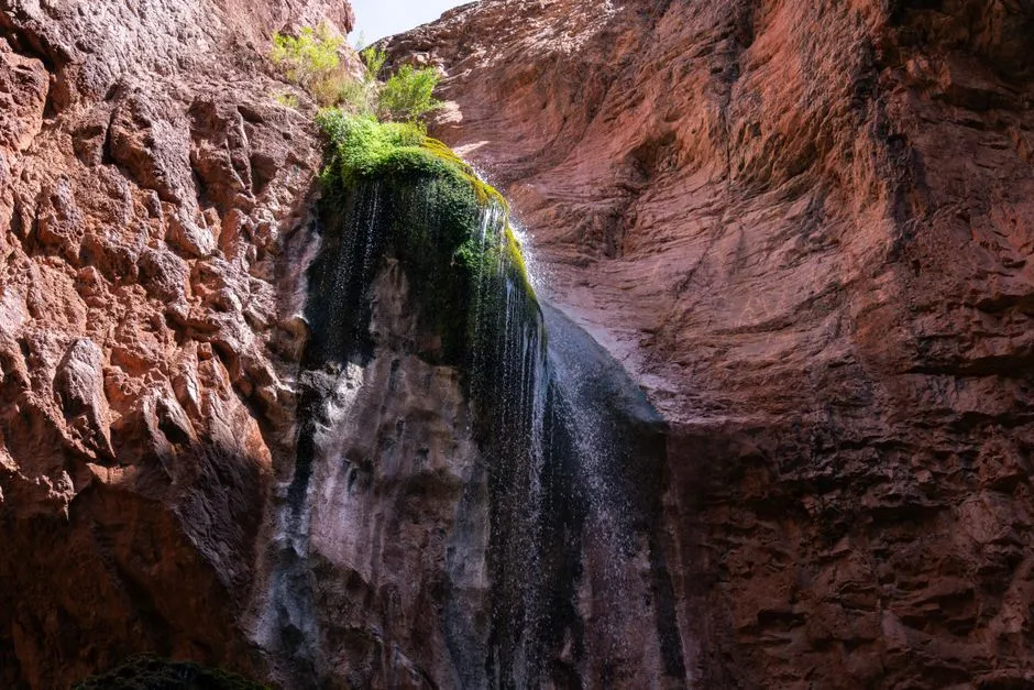 A Different Kind of Arizona Trip (Image Credits: Pexels)