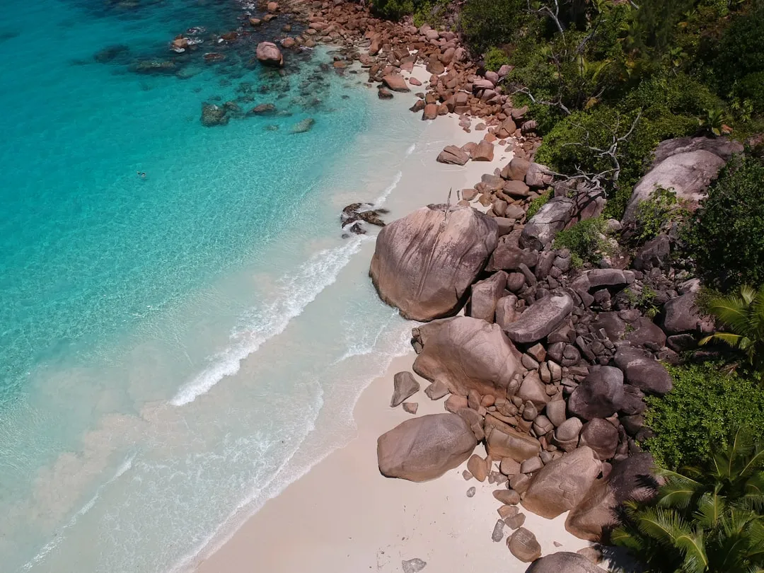 World Destinations Where Guides Consistently Choose the Same Entry Points (Image Credits: Unsplash)