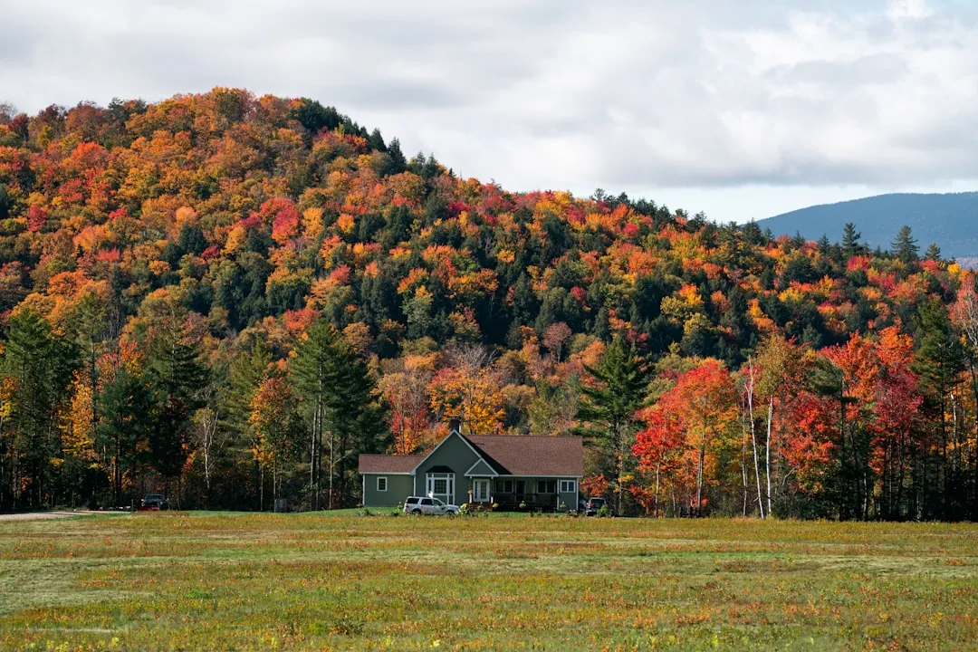 Vermont's Off-Grid Cabins Near the Kingdom Trails and Green Mountains (Image Credits: Unsplash)
