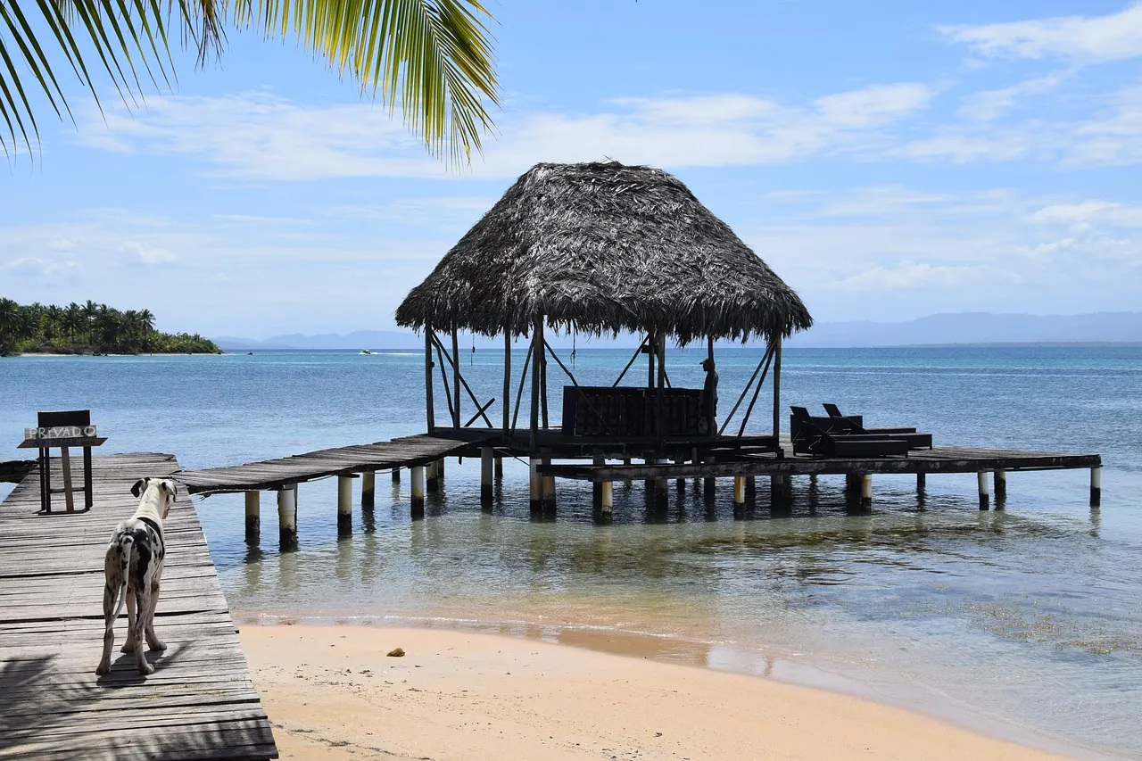 2. Nayara Bocas del Toro, Frangipani Island, Panama (Image Credits: Pixabay)