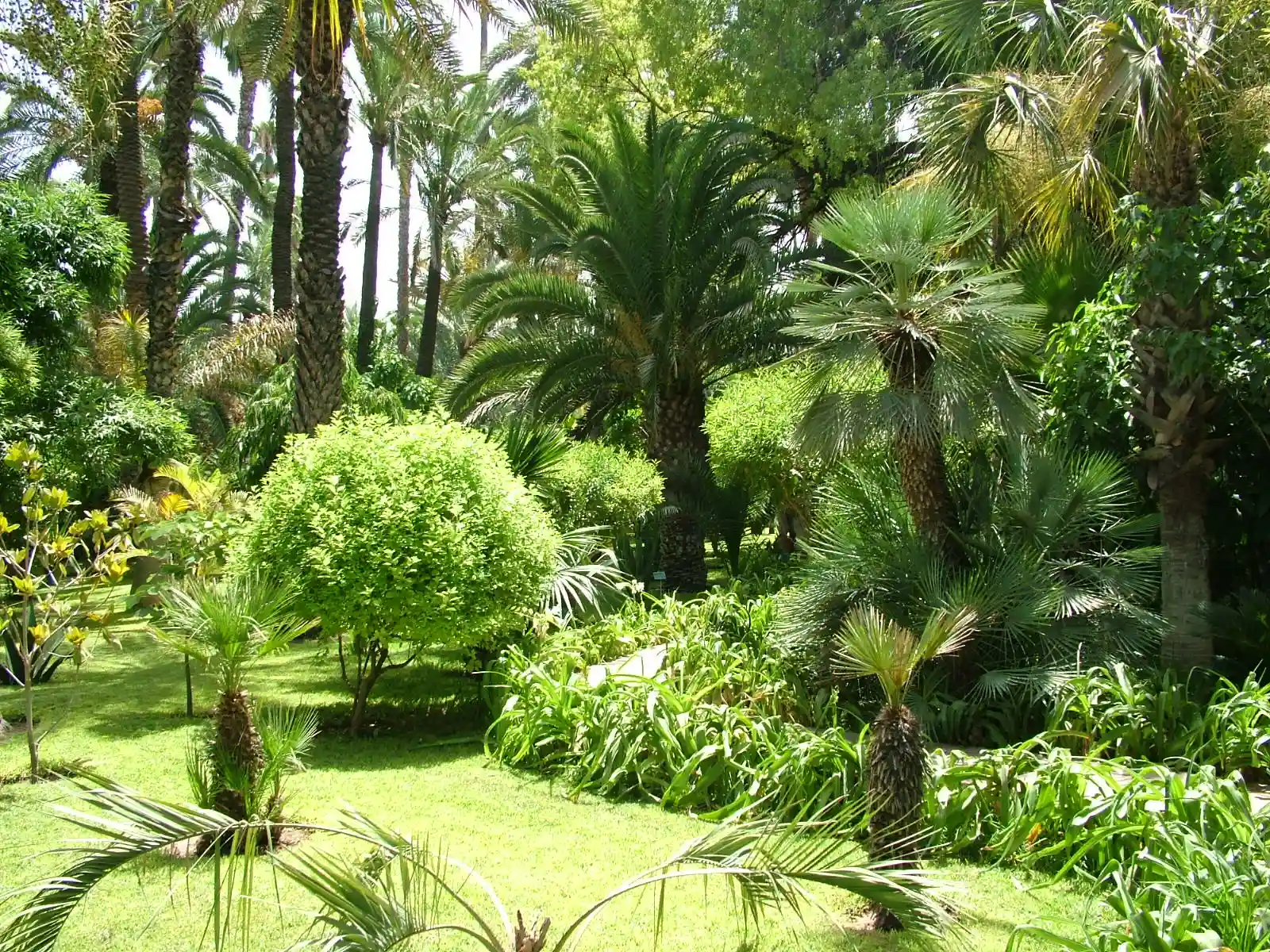 4. Jardin Majorelle - Marrakech, Morocco (By Marcin Sochacki (Wanted), CC BY-SA 4.0)
