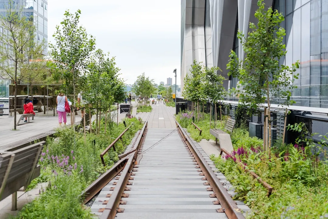 Walk the High Line (Image Credits: Unsplash)