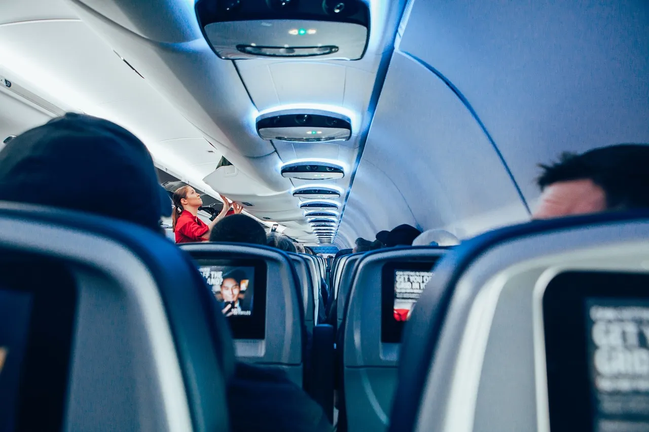 Flight Attendants Are the Front Line (Image Credits: Pixabay)