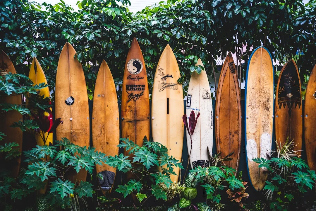 Samara, Costa Rica: The Quieter Alternative to Tamarindo (Image Credits: Unsplash)