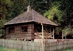 The Global Wellness Summit Has Legitimized the Trend (Interrorem Cabin, Olympic National Forest, Public domain)
