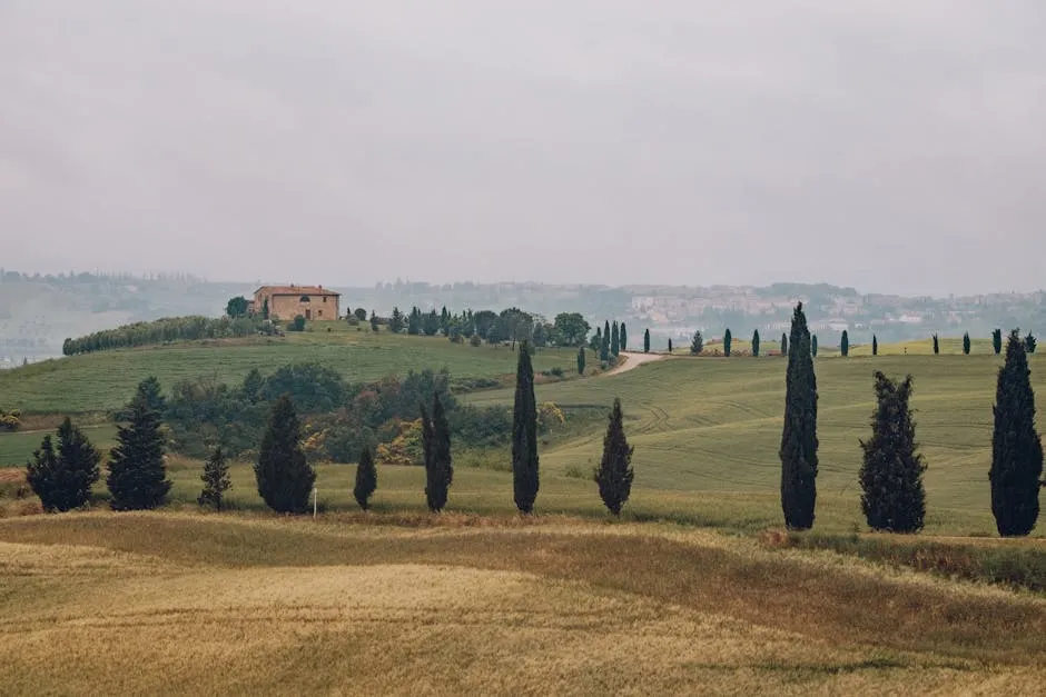 Tuscany, Italy: Rolling Hills and Timeless Romance (Image Credits: Pexels)