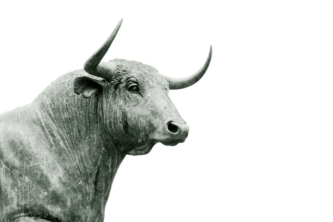 Taurus: The Heavy Sleeper Who Just Refuses to Be Rushed (Image Credits: Unsplash)