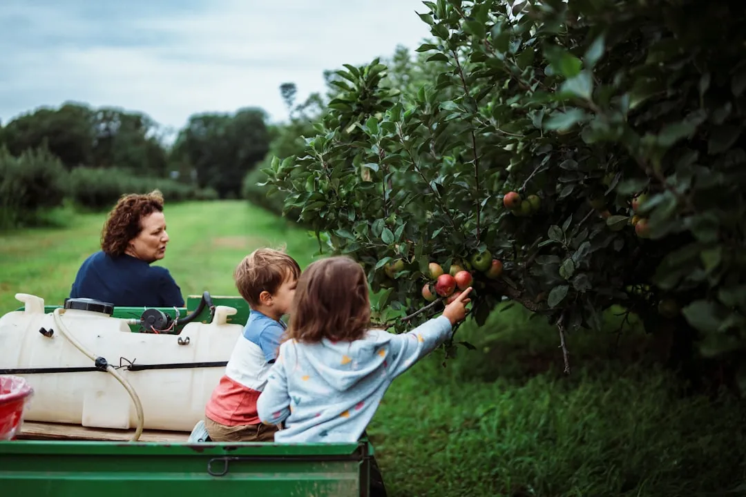 Urban Disconnect Driving Rural Curiosity (Image Credits: Unsplash)