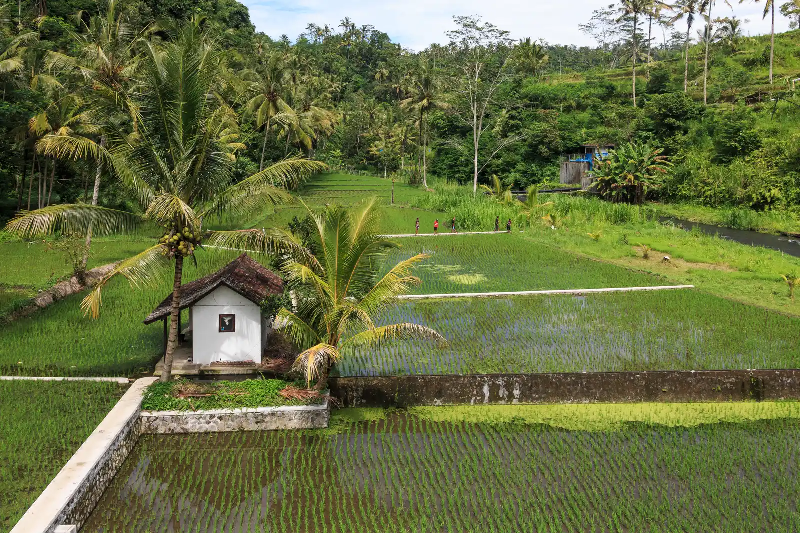 Tetebatu and the Interior Villages (By CEphoto, Uwe Aranas, CC BY-SA 3.0)