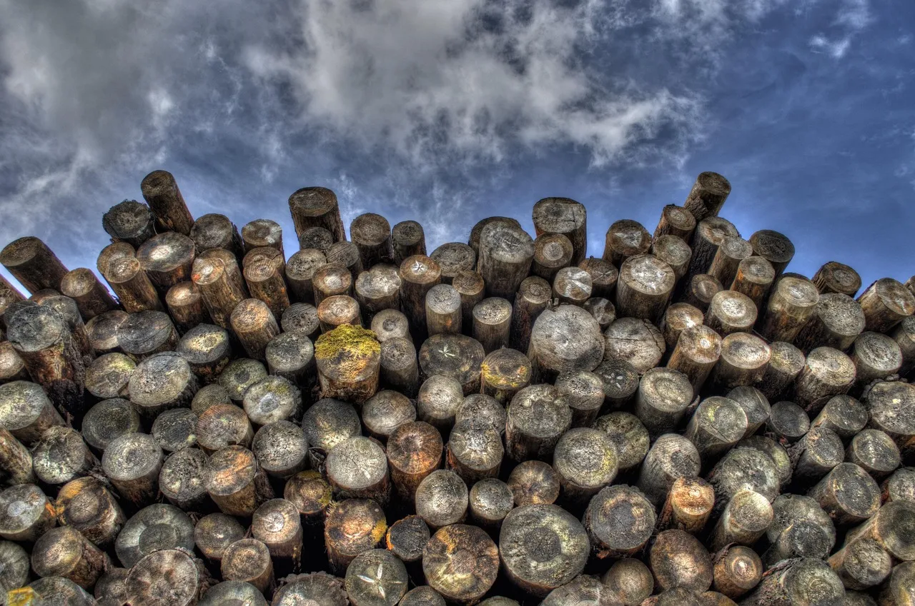 The History Underneath the Recreation (Image Credits: Pixabay)