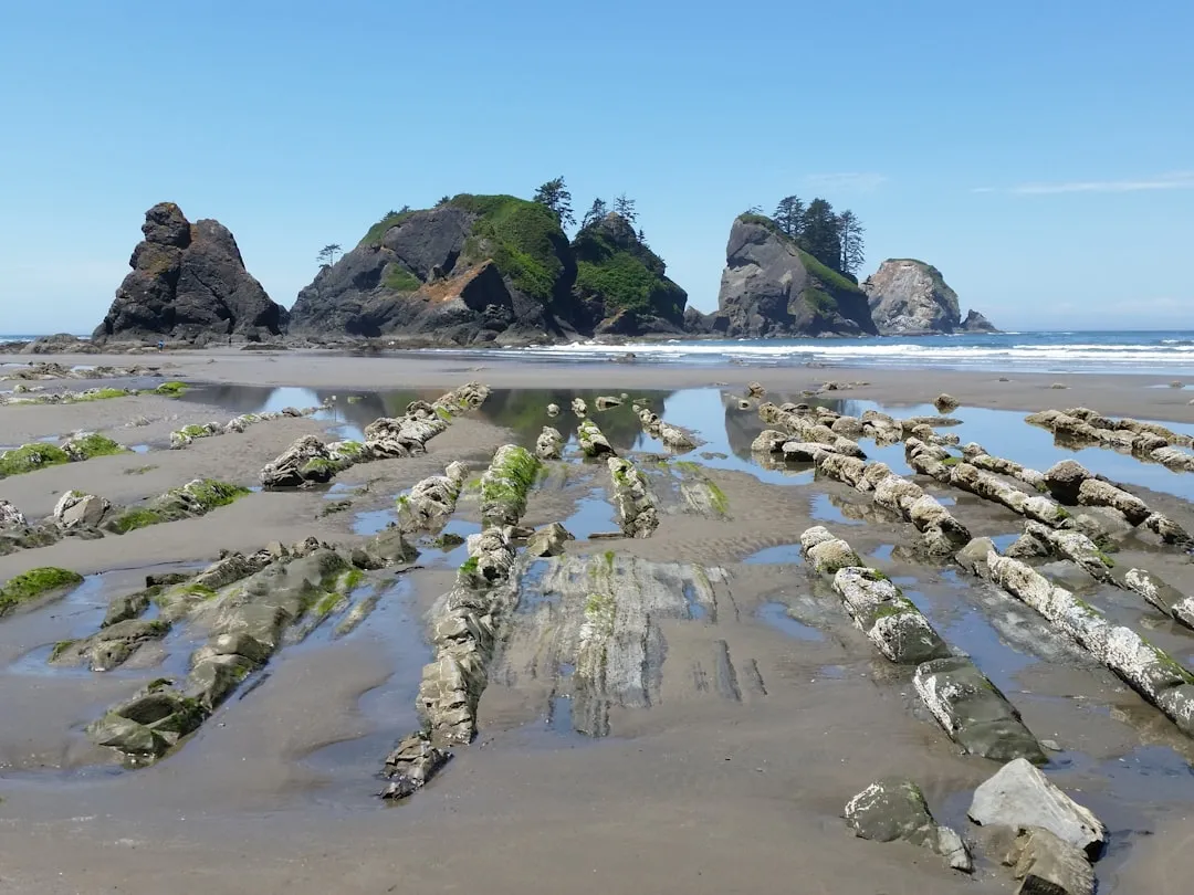 7. Olympic Peninsula Loop, Washington State (Image Credits: Unsplash)