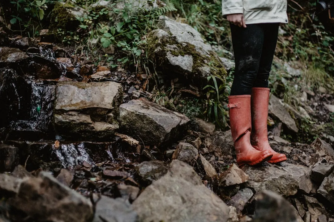 What to Pack for Midwest Waterfall Hikes (Image Credits: Unsplash)