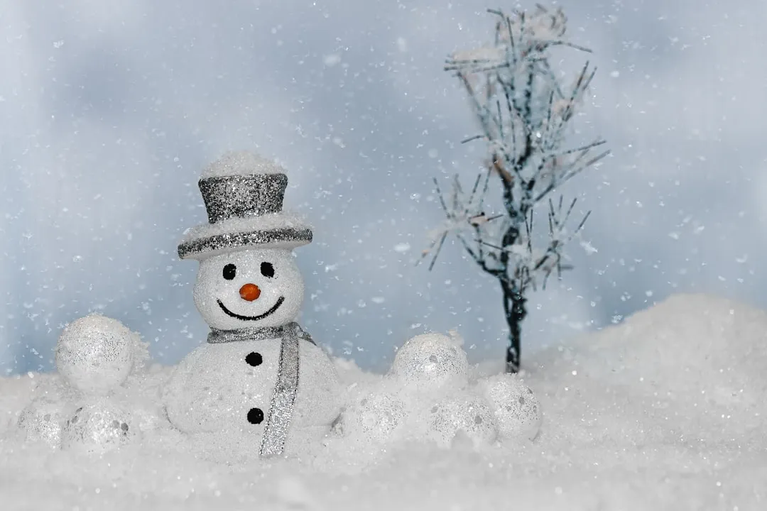 Snow Globes and Novelty Souvenirs (Image Credits: Unsplash)