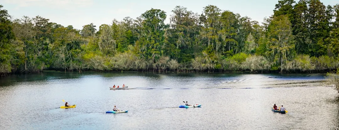 Kayaking and Paddling the Bay Side (Image Credits: Unsplash)