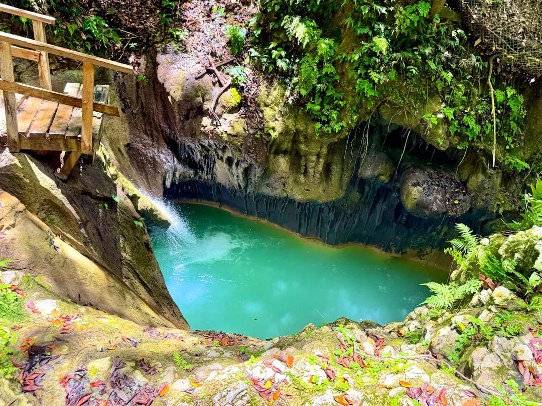 Blue Hole Falls: The Other Georgia Secret Worth Knowing (Image Credits: Unsplash)