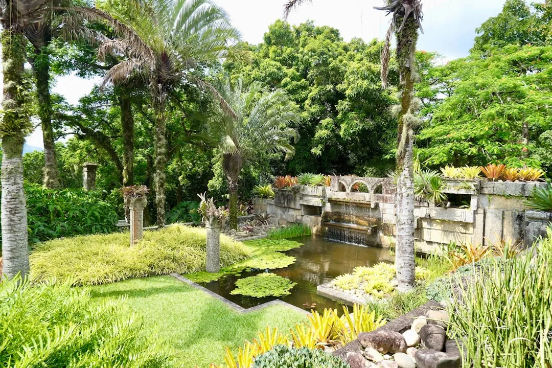 5. Rio de Janeiro Botanical Garden - Brazil (Image Credits: Unsplash)