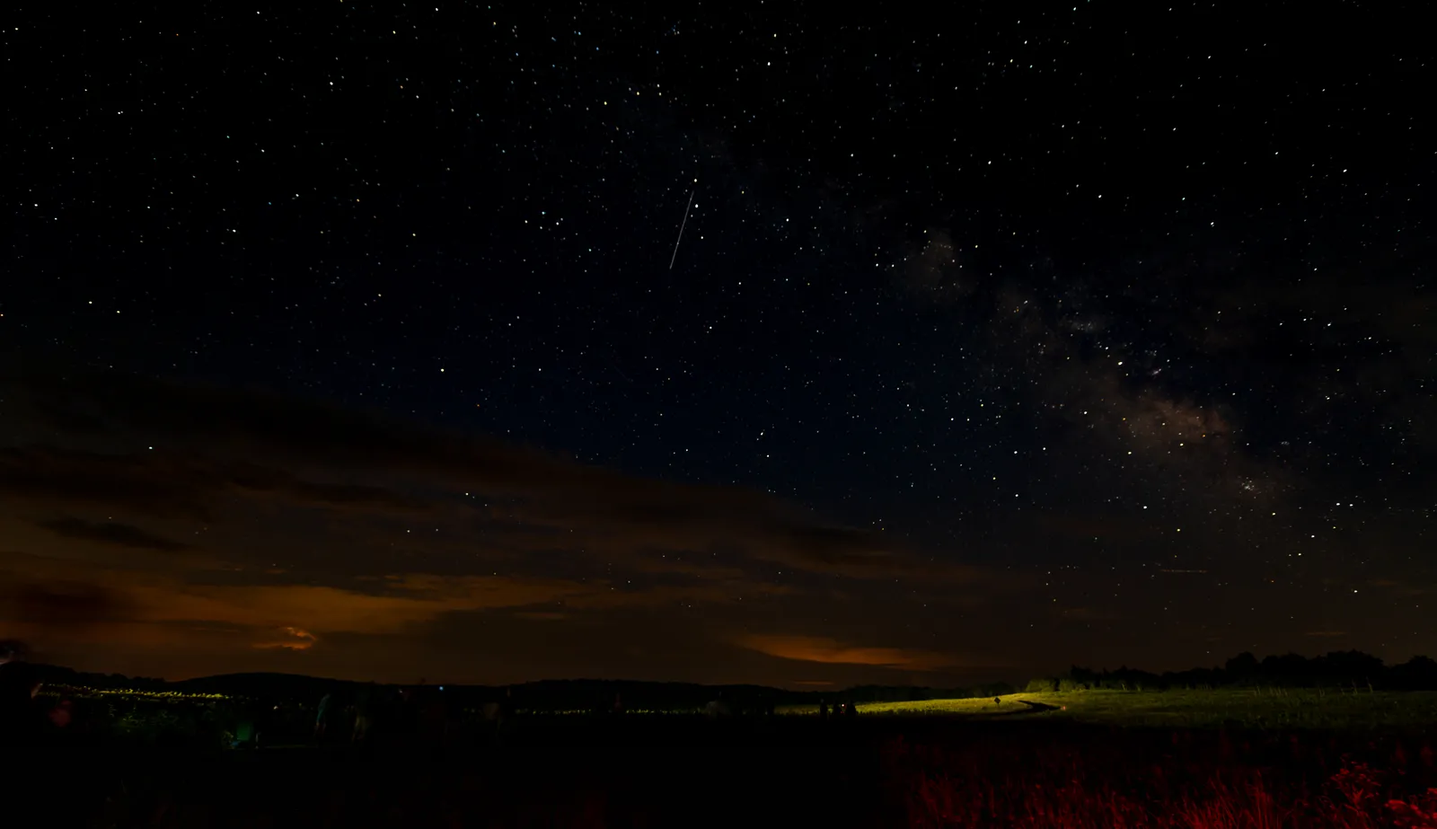 Pisces: Drawn to the Night for Different Reasons (2018 Night Sky Festival- Stargazing in the Meadow, Public domain)