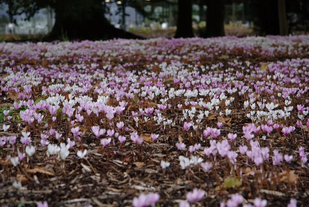 6. Wakehurst - Kew's Wild Botanic Garden, Sussex, United Kingdom (Dominic's pics, Flickr, CC BY 2.0)