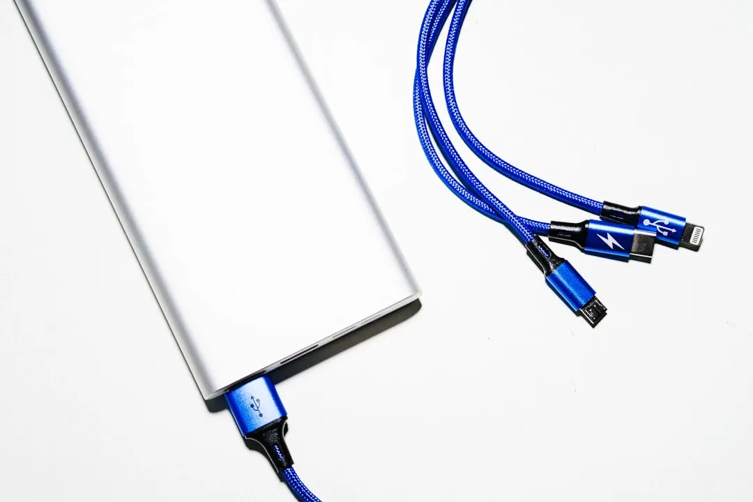 The Power Bank: You're the One Everyone Calls in a Crisis (Image Credits: Unsplash)