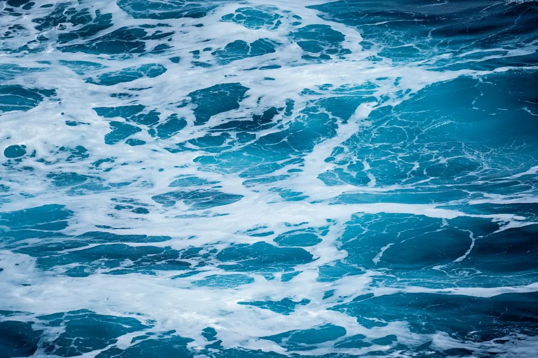 Seasickness Remedies and Medical Essentials (Image Credits: Unsplash)
