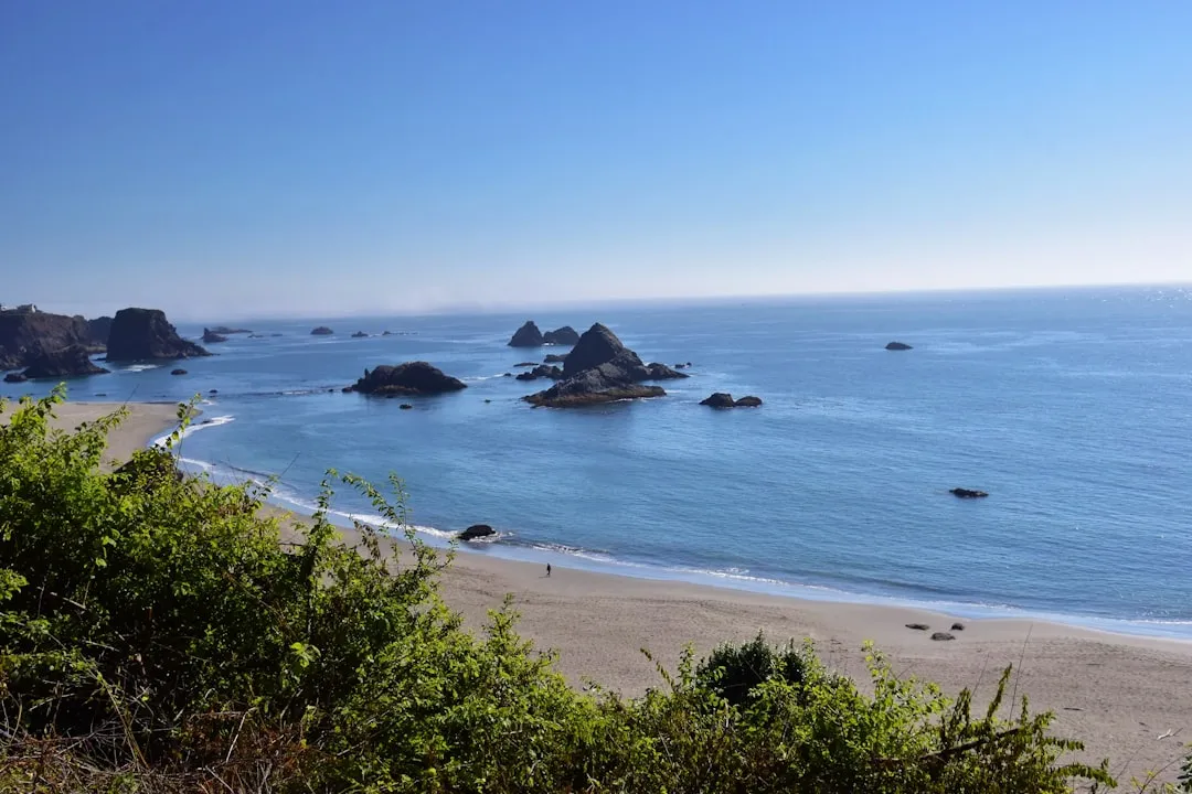 Harris Beach State Park: Year-Round Beauty on the South Coast (Image Credits: Unsplash)
