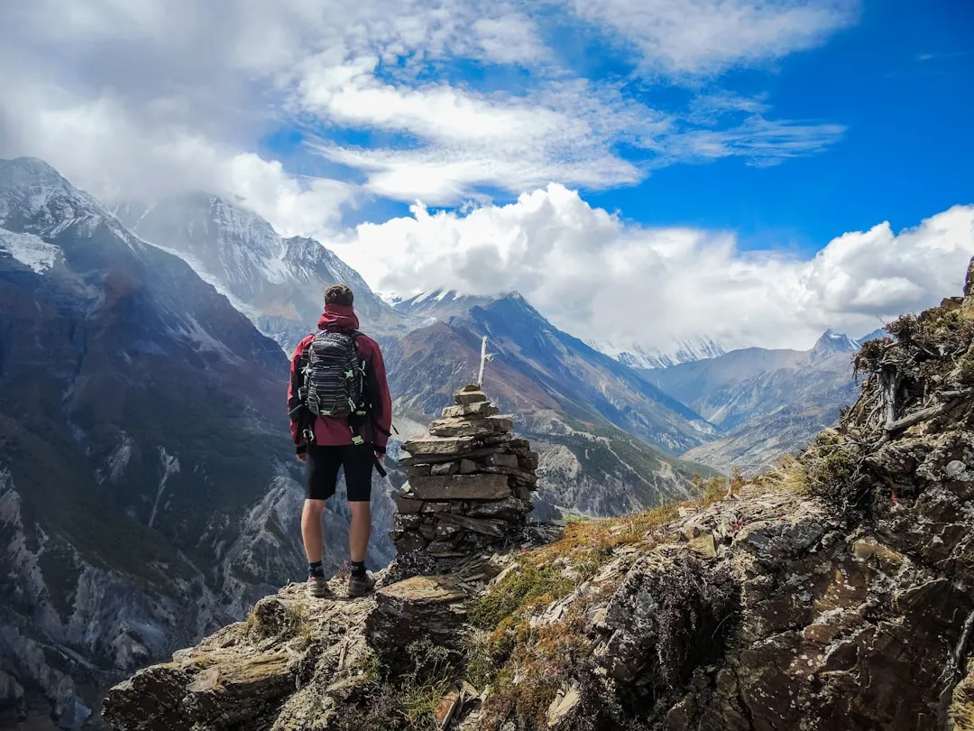 Flying Solo or with the Group: Water Signs and Emotional Connection (Image Credits: Unsplash)