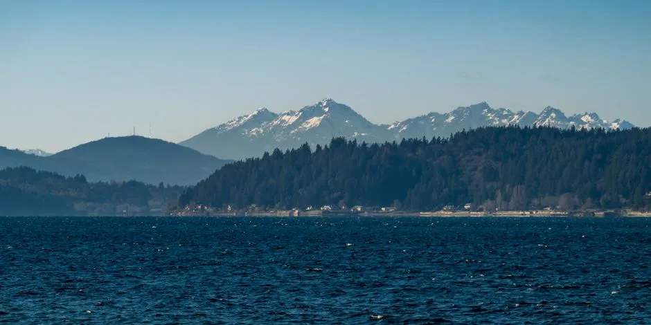 Sequim: The Sunshine Surprise of Western Washington (Image Credits: Pexels)