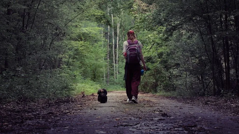 Practical Tips Before You Visit With Your Dog (Image Credits: Pexels)