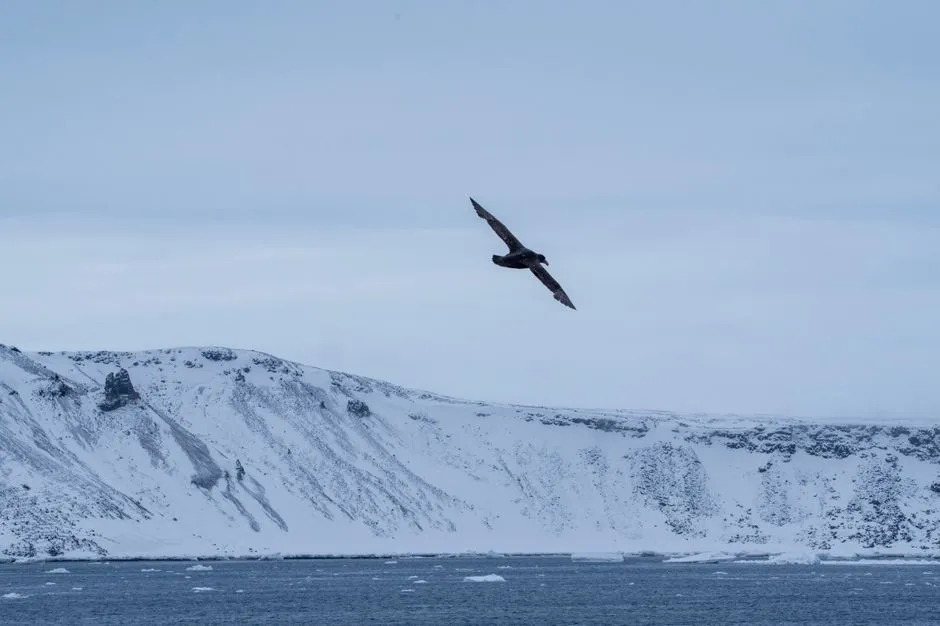 Polar Routes: When the Curve Goes All the Way North (Image Credits: Pexels)