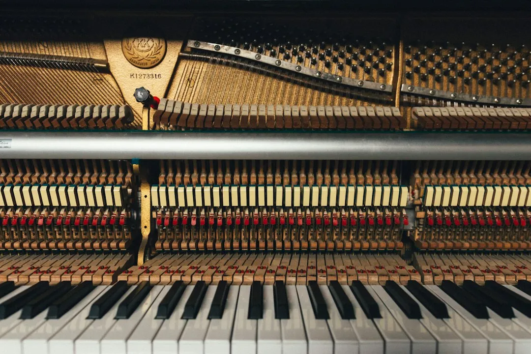 The Repertoire Requirement: What Pianists Actually Need to Know (Image Credits: Unsplash)
