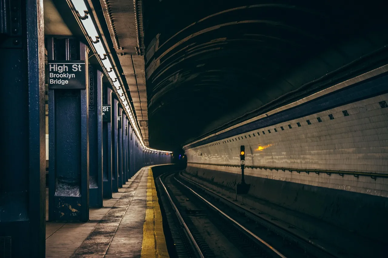 Ride the Public Transit for at Least One Stop (Image Credits: Pixabay)