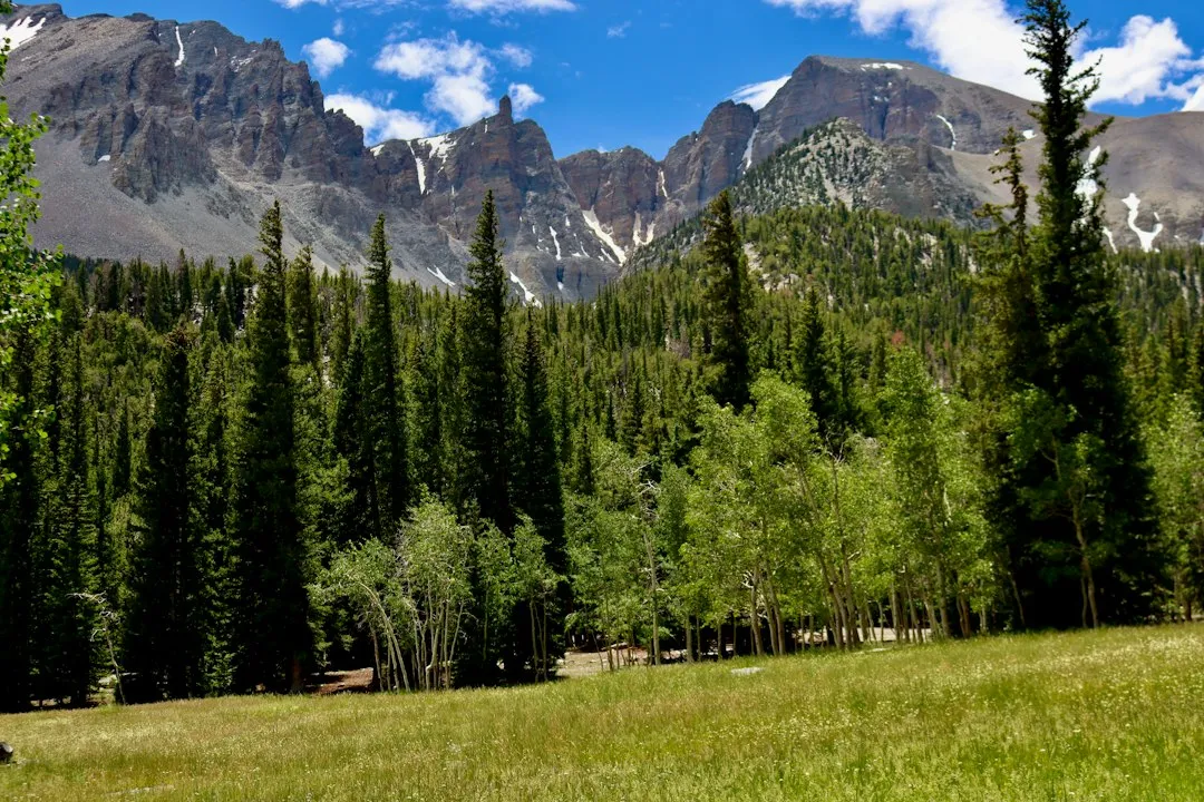 Great Basin National Park: The Eastern Anchor (Image Credits: Unsplash)