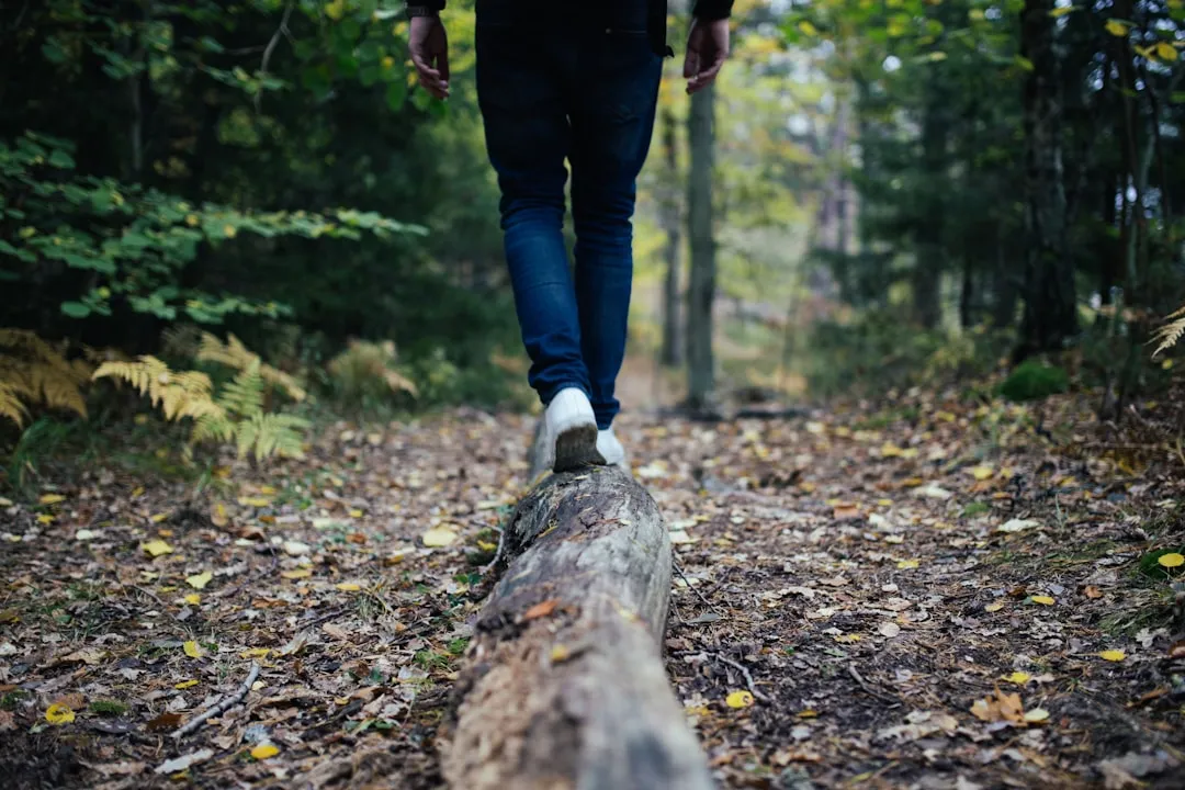 A Walk in Nature vs. Lying on the Sofa: What the EEG Shows (Image Credits: Unsplash)