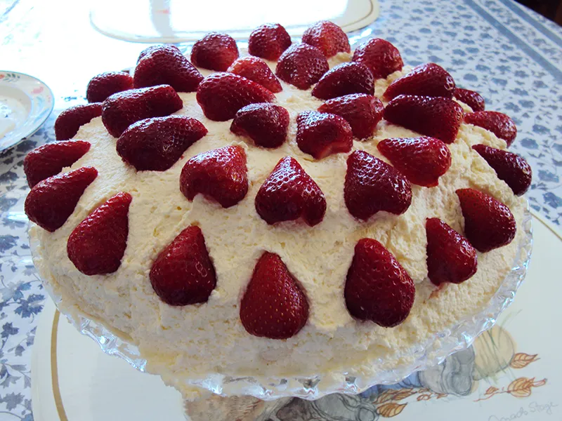 What Exactly Is a Pavlova? (Martin Hipp, Flickr, CC BY-SA 2.0)