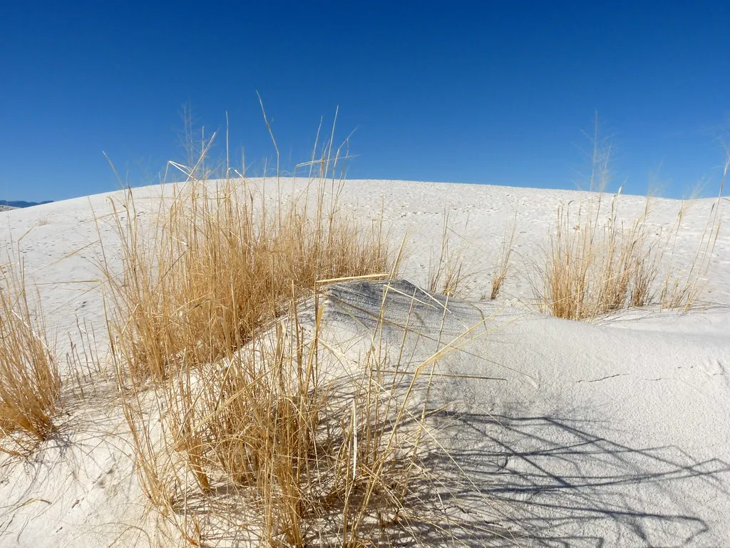 A Landscape That Rewrites What We Think We Know (megoizzy, Flickr, CC BY-SA 2.0)