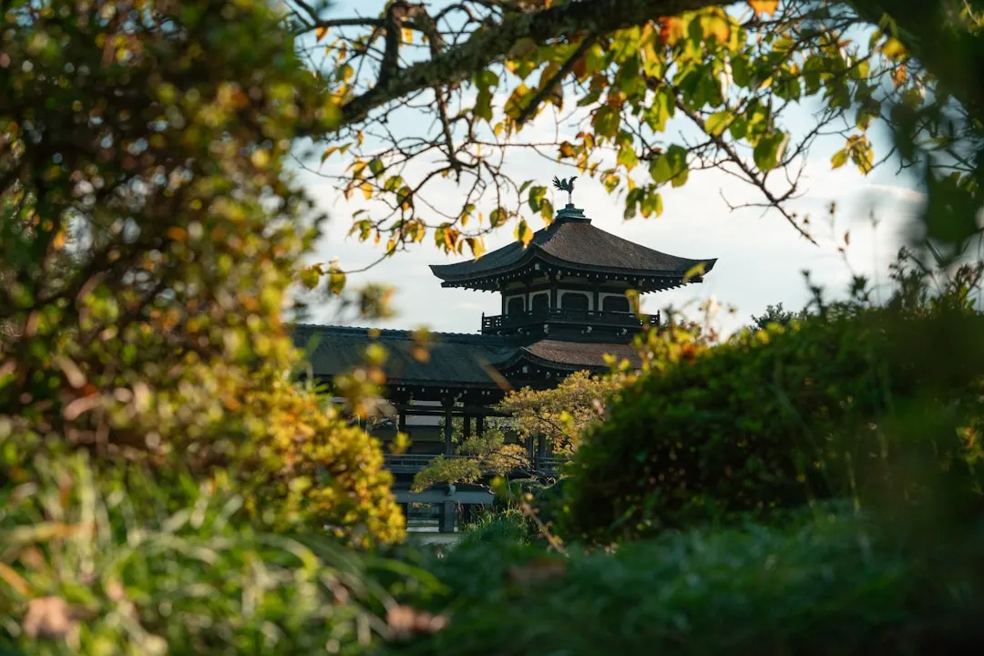 3. Kyoto Prefectural Botanical Garden: Japan's Oldest Public Garden Across All Four Seasons (Image Credits: Unsplash)