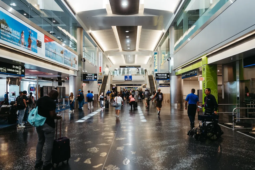 American Airlines Takes Aim At Gate Lice (Image Credits: Unsplash)