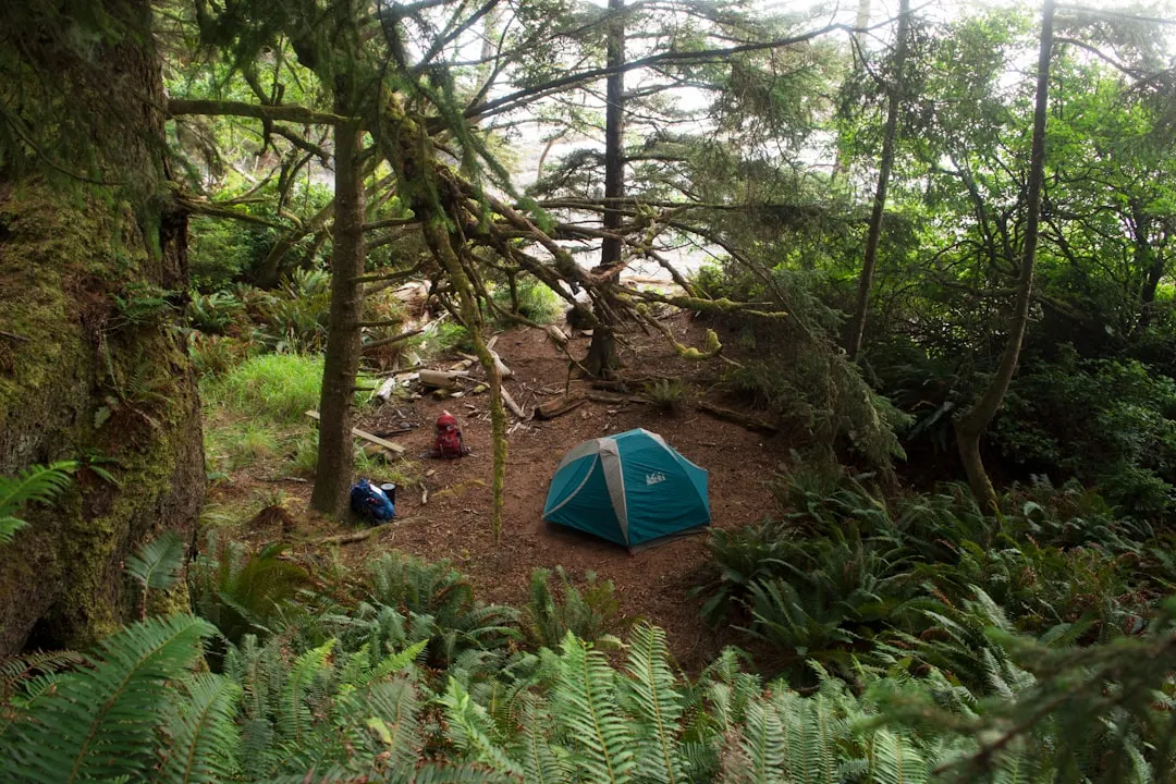A Final Note on Going Off the Grid (Image Credits: Unsplash)