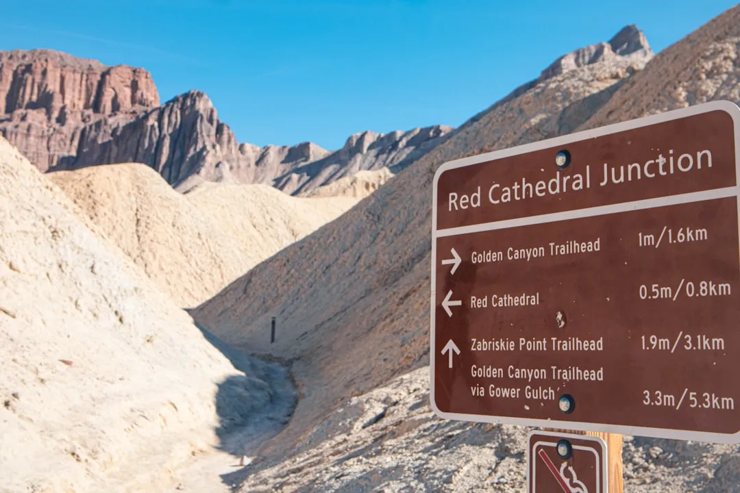 The "Decision Point" Problem Rangers Keep Talking About (Image Credits: Unsplash)